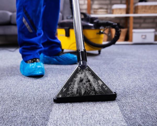 Carpet Cleaning Northern beaches