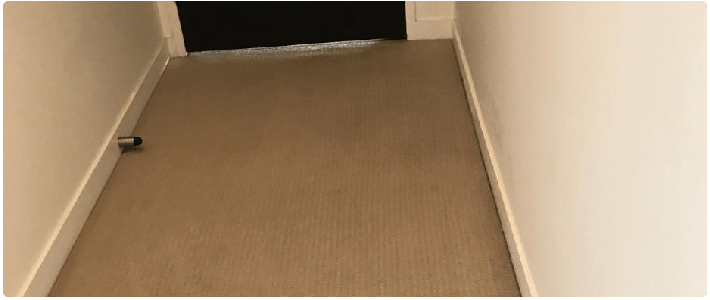 End of Lease Carpet Cleaning Northern Beaches